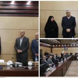 انتصاب سید وحید میرزاده به عنوان مدیر حراست حوزه تجارت خارجی